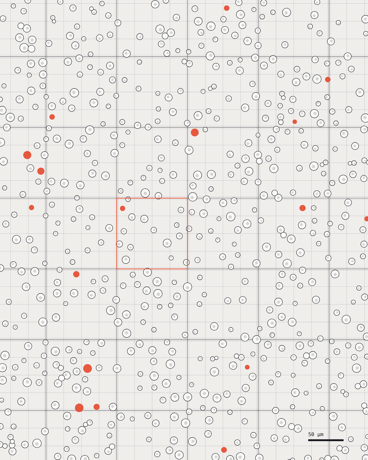 Abstract illustration of a cell count on a haemocytometer grid