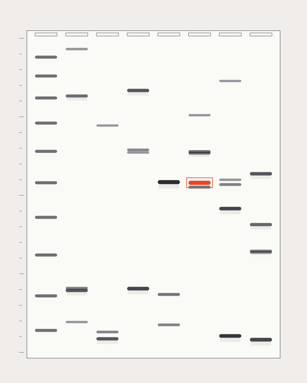 Abstract illustration of gel electrophoresis lanes